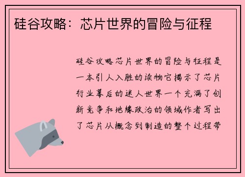 硅谷攻略：芯片世界的冒险与征程