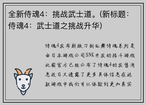 全新侍魂4：挑战武士道。(新标题：侍魂4：武士道之挑战升华)